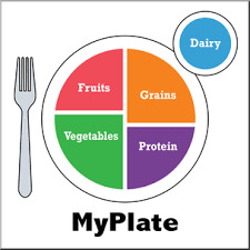 my plate graphic nutrition 