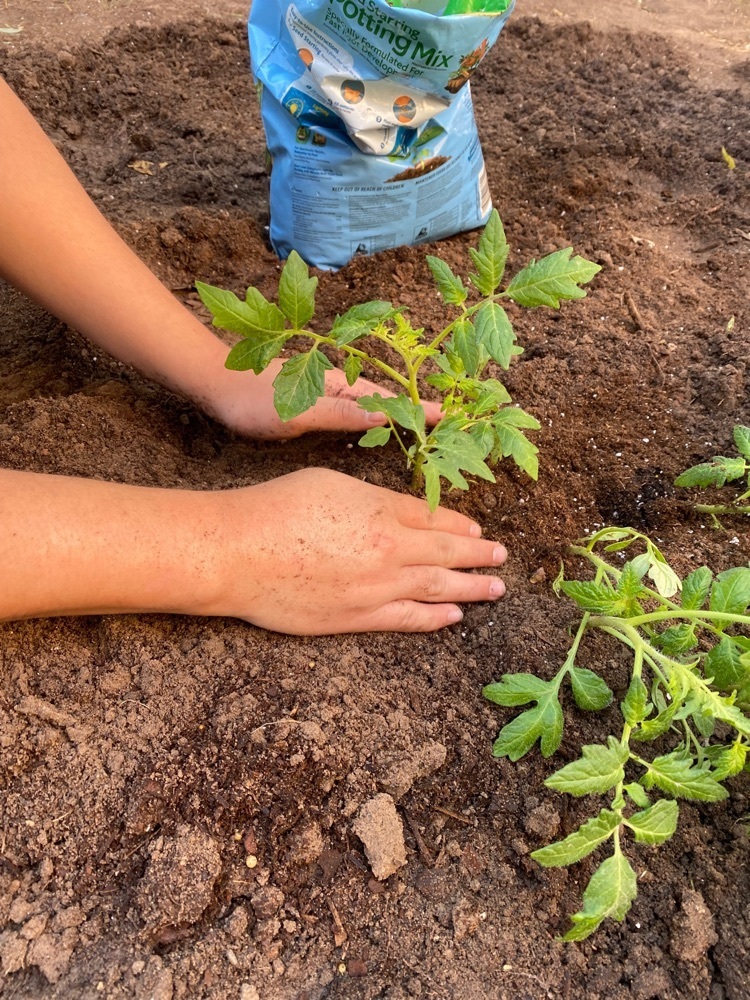 CARE Academy students planting their garden!