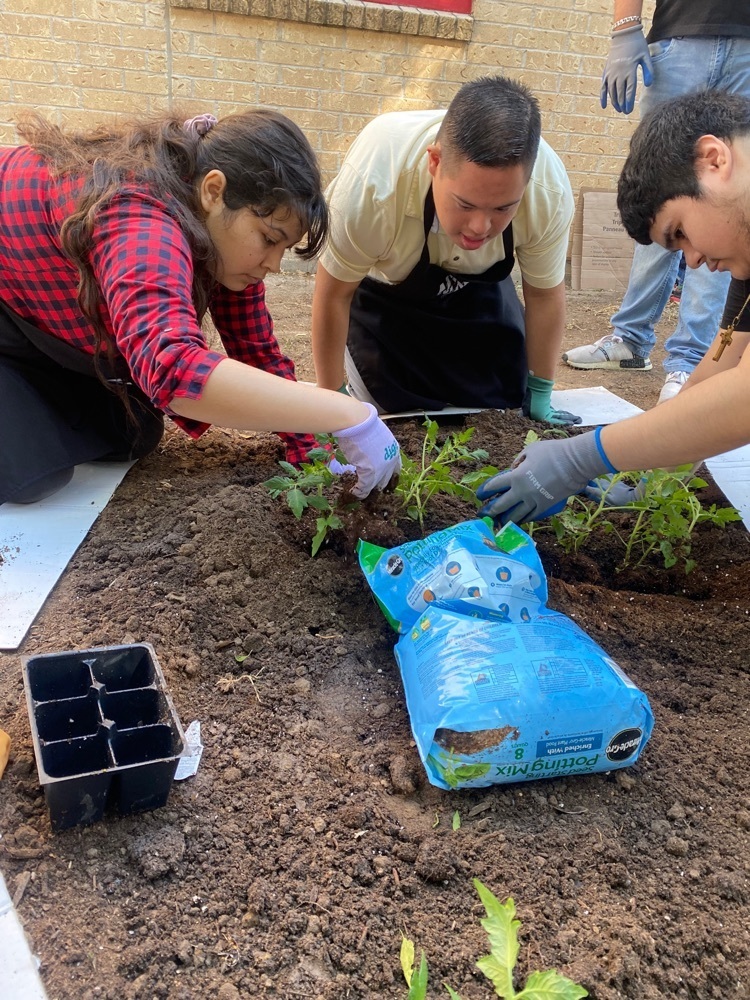 CARE Academy students planting their garden!